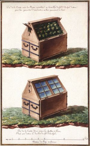 Laperouse caisses.jpg